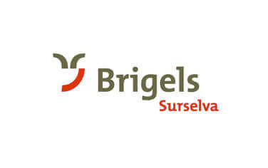 Brigels