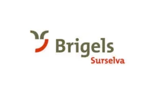Brigels